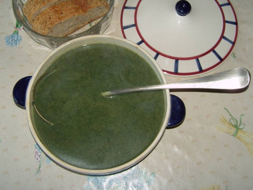 Soupe aux orties