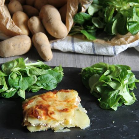 Gratin pommes de terre — champignons