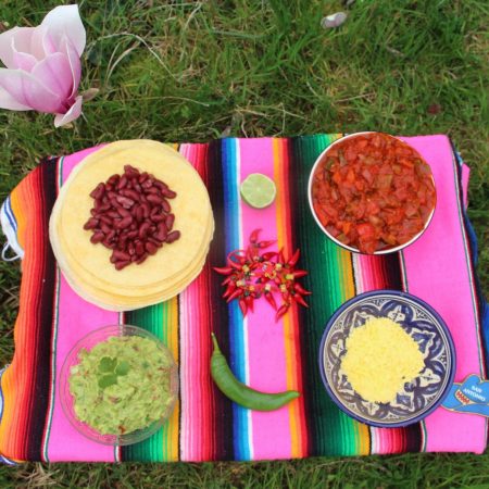 Fajitas aux légumes et guacamole