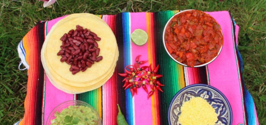 Fajitas aux légumes et guacamole