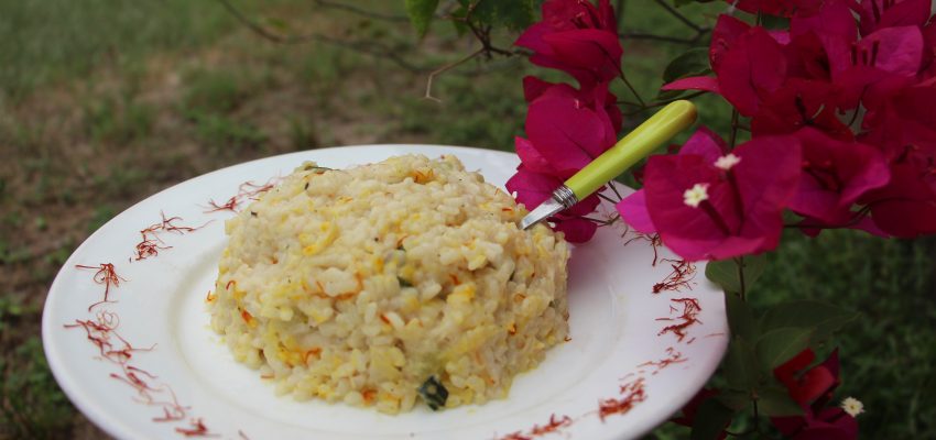 Risotto aux courgettes et au safran