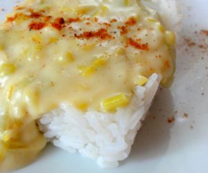 béchamel végétale oignons poireaux