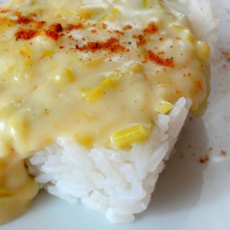 béchamel végétale oignons poireaux