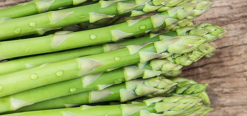 Asperge