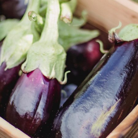 Aubergine