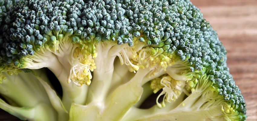 Broccoli