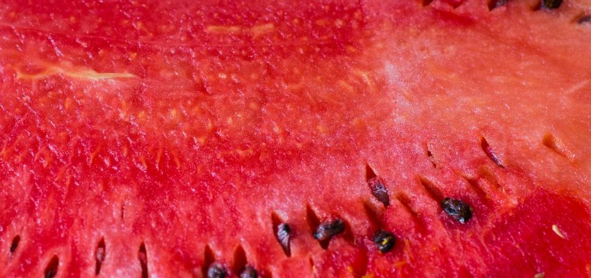 Pastèque