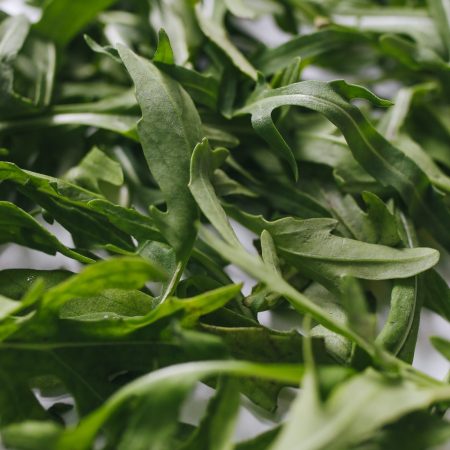 Roquette