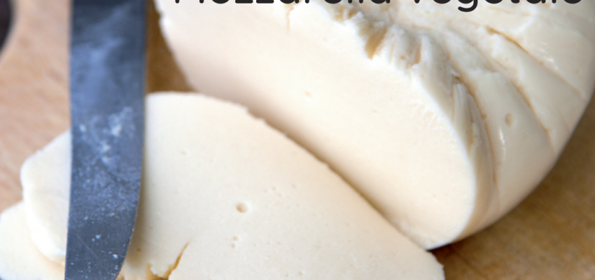 Mozzarella végétale