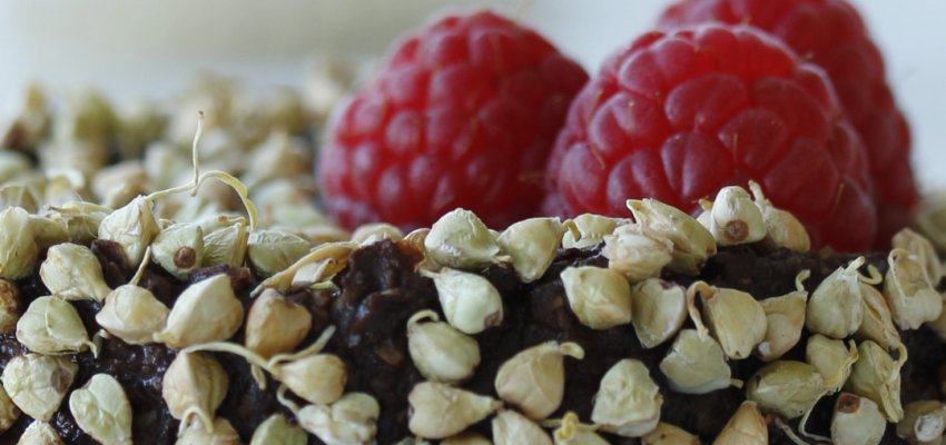 cacao-framboise