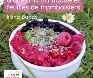 glace framboise