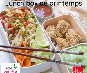 lunch box printemps