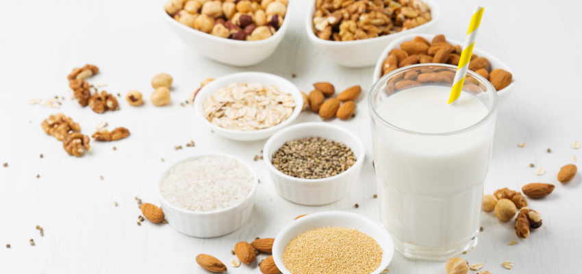 Lait végétal fait maison